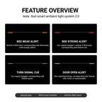 Dashboard RGB Lights with Integrated BSD System for Model 3/Y
