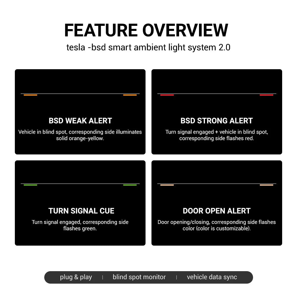 Dashboard RGB Lights with Integrated BSD System for Model 3/Y