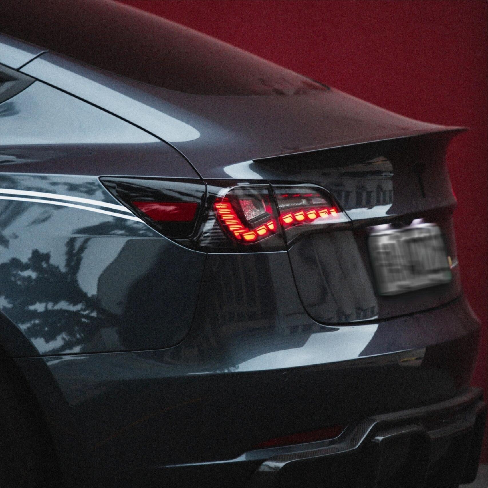 Dragon Scale Tail Lights for Model 3/Y