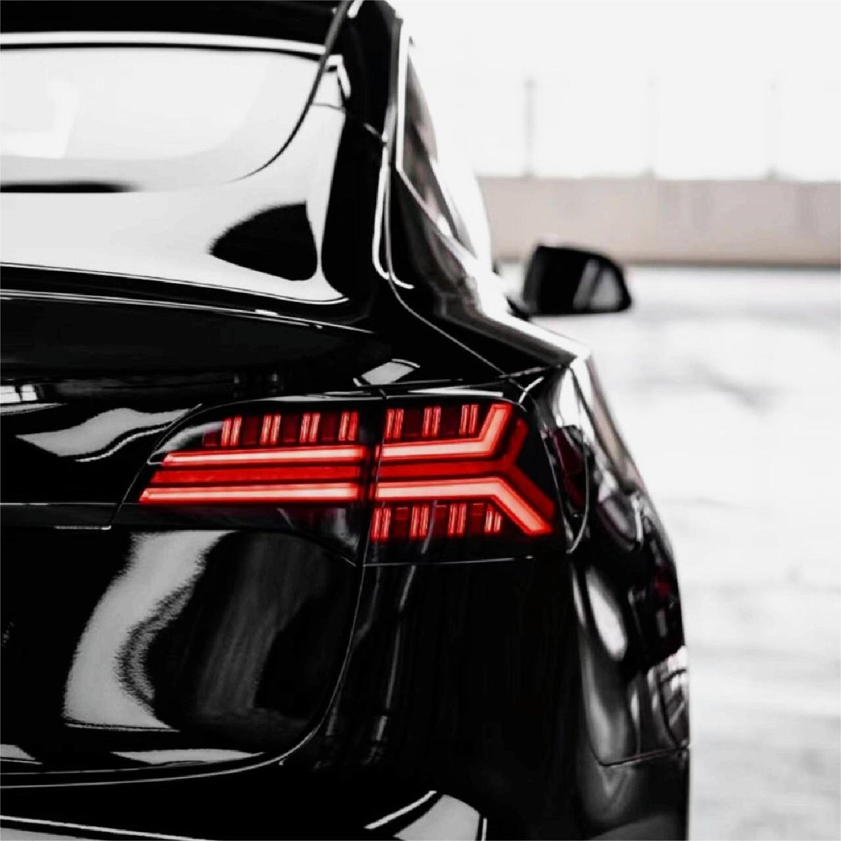 Fish Bone Tail Light for Model 3/Y