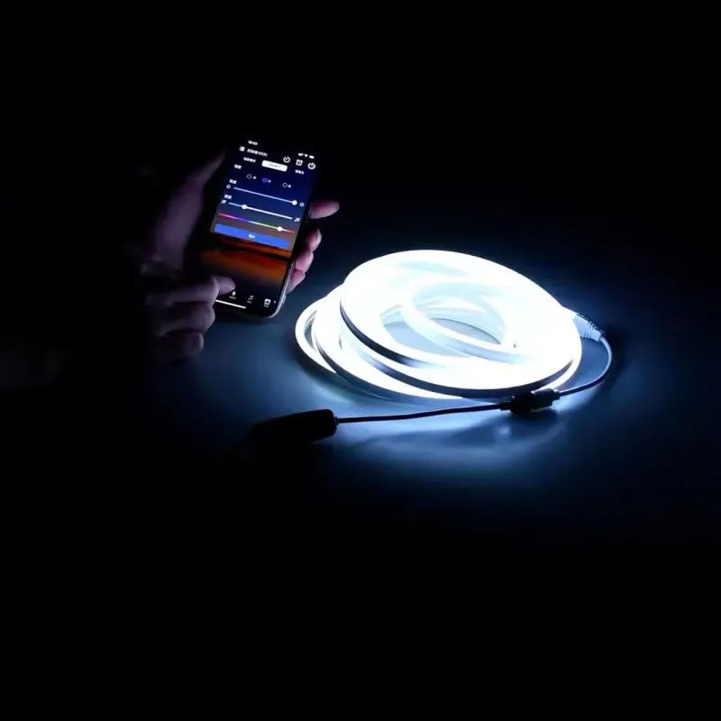 Model 3/Y/X/S（2021-2023） Frunk LED Bluetooth RGB Lighting Kit