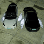Model 3 Highland & New Model Y Angel Wings Rearview Mirror Welcome Light
