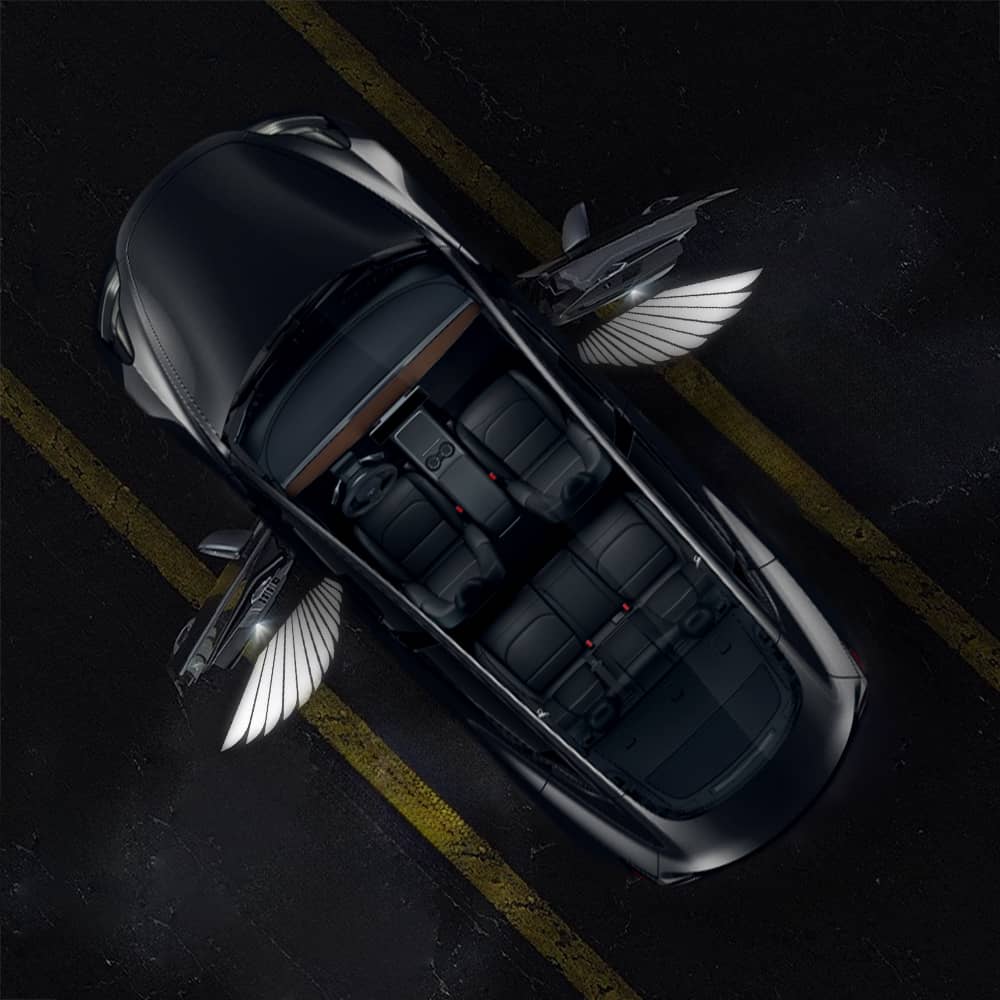 Angel Wings Door Welcome Lights for Model 3/Y/S/X