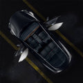 Angel Wings Door Welcome Lights for Model 3/Y/S/X