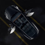 Angel Wings Door Welcome Lights for Model 3/Y/S/X