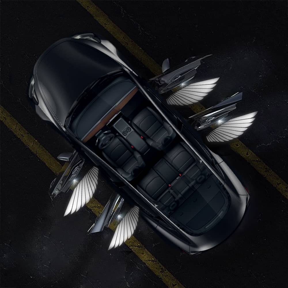 Angel Wings Door Welcome Lights for Model 3/Y/S/X