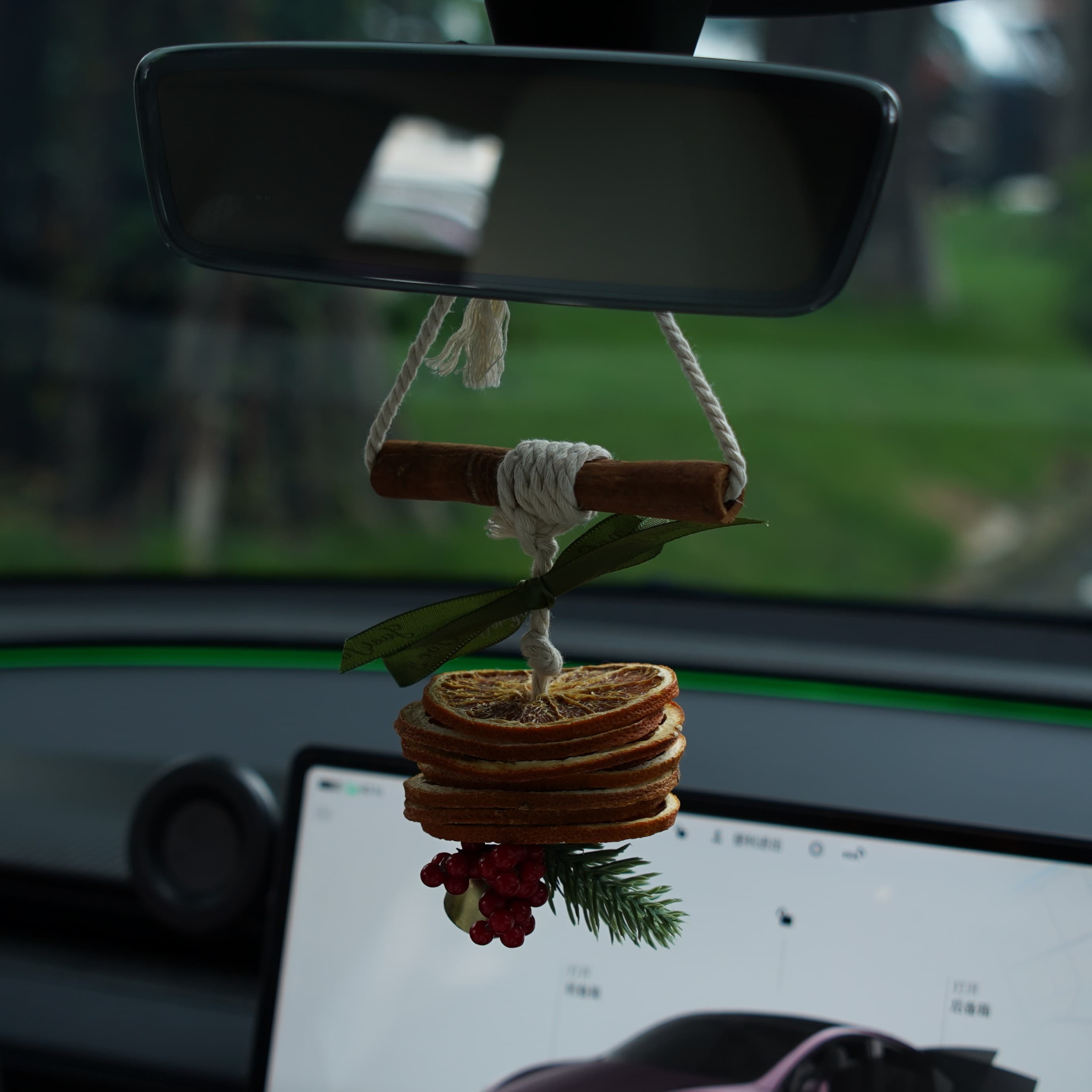 Orange Scent Christmas Ornament for Tesla